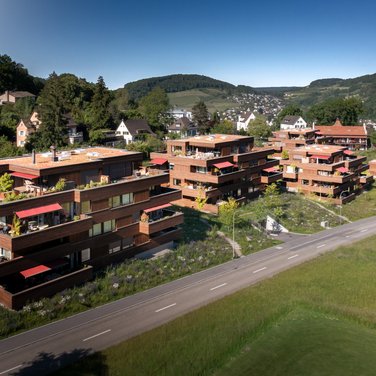 Project Belvedere Project Belvedere